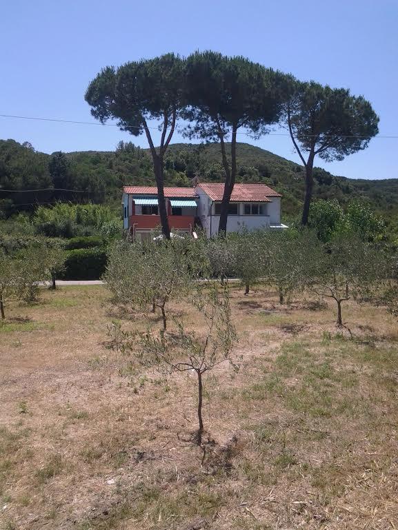 Hotel Rustichello Marina di Campo Εξωτερικό φωτογραφία